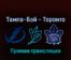 Тампа-Бэй Лайтнинг — Торонто Мэйпл Лифс 22 апреля 2022 года прямая трансляция