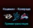 Нэшвилл Предаторз — Колорадо Эвеланш 10 мая 2022 года прямая трансляция