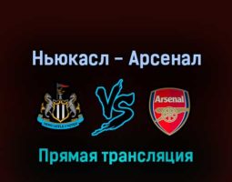 Ньюкасл Юнайтед — Арсенал 16 мая 2022 года прямая трансляция