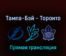 Тампа-Бэй Лайтнинг — Торонто Мэйпл Лифс 7 мая 2022 года прямая трансляция