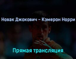 Новак Джокович — Кэмерон Норри 8 июля 2022 года прямая трансляция