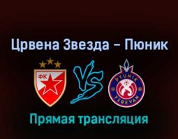 Црвена Звезда — Пюник 3 августа 2022 года прямая трансляция