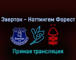 Эвертон — Ноттингем Форест 20 августа 2022 года прямая трансляция