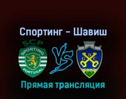 Спортинг — Шавиш 27 августа 2022 года прямая трансляция