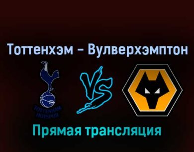 Тоттенхэм Хотспур — Вулверхэмптон 20 августа 2022 года прямая трансляция