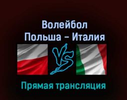 Волейбол Польша — Италия 11 сентября 2022 года прямая трансляция