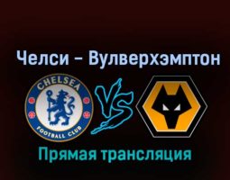 Челси — Вулверхэмптон 8 октября 2022 года прямая трансляция