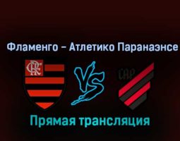 Фламенго — Атлетико Паранаэнсе 29 октября 2022 года прямая трансляция