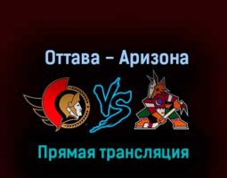 Оттава Сенаторз — Аризона Койотс 22 октября 2022 года прямая трансляция