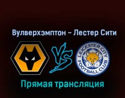 Вулверхэмптон — Лестер Сити 23 октября 2022 года прямая трансляция