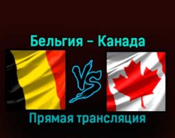 Бельгия — Канада 23 ноября 2022 года прямая трансляция