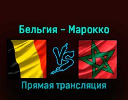 Бельгия — Марокко 27 ноября 2022 года прямая трансляция