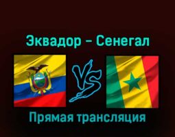 Эквадор — Сенегал 29 ноября 2022 года прямая трансляция