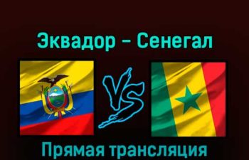 Эквадор — Сенегал 29 ноября 2022 года прямая трансляция