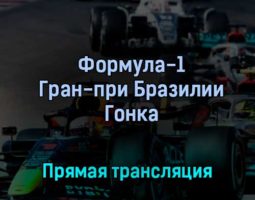 Формула-1 Гран-при Бразилии Гонка 13 ноября 2022 года прямая трансляция