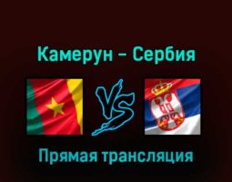 Камерун — Сербия 28 ноября 2022 года прямая трансляция