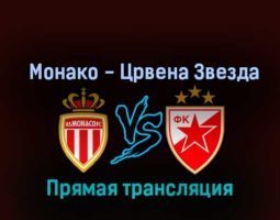 Монако — Црвена Звезда 3 ноября 2022 года прямая трансляция