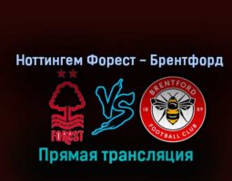 Ноттингем Форест — Брентфорд 5 ноября 2022 года прямая трансляция
