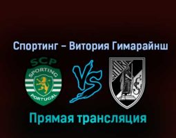 Спортинг — Витория Гимарайнш 5 ноября 2022 года прямая трансляция