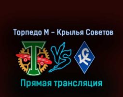 Торпедо М — Крылья Советов 6 ноября 2022 года прямая трансляция
