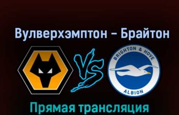 Вулверхэмптон — Брайтон 5 ноября 2022 года прямая трансляция