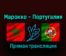 Марокко — Португалия 10 декабря 2022 года прямая трансляция