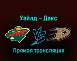 Миннесота Уайлд — Анахайм Дакс 3 декабря 2022 года прямая трансляция