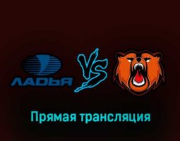 Ладья — Кузнецкие Медведи 26 января 2023 года прямая трансляция