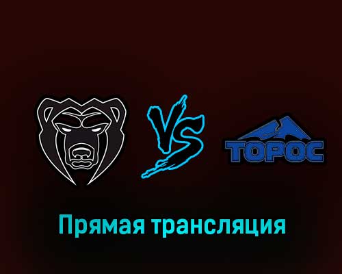 Молот — Торос 26 января 2023 года прямая трансляция Молот — Торос 26 января 2023 года прямая трансляция