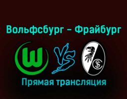 Вольфсбург — Фрайбург 21 января 2023 года прямая трансляция