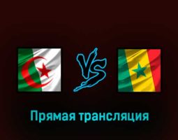 Алжир — Сенегал 4 февраля 2023 года прямая трансляция
