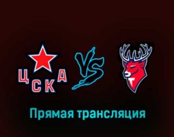 ЦСКА — Торпедо 20 февраля 2023 года прямая трансляция
