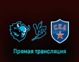 Динамо Минск — СКА 11 марта 2023 года прямая трансляция