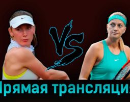 Екатерина Александрова — Петра Квитова 30 марта 2023 года прямая трансляция