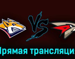 Металлург — Авангард 23 марта 2023 года прямая трансляция