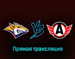 Металлург — Автомобилист 8 марта 2023 года прямая трансляция