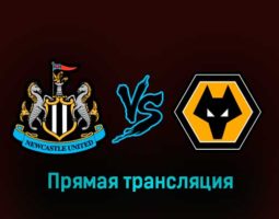 Ньюкасл Юнайтед — Вулверхэмптон 12 марта 2023 года прямая трансляция