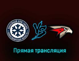Сибирь — Авангард 8 марта 2023 года прямая трансляция