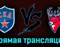 СКА — Торпедо 16 марта 2023 года прямая трансляция