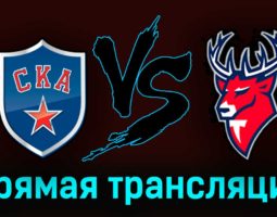 СКА — Торпедо 18 марта 2023 года прямая трансляция