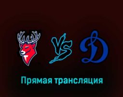 Торпедо — Динамо 10 марта 2023 года прямая трансляция