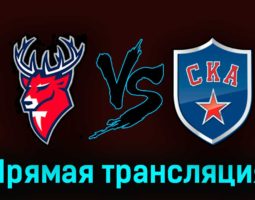 Торпедо — СКА 20 марта 2023 года прямая трансляция