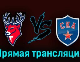 Торпедо — СКА 22 марта 2023 года прямая трансляция
