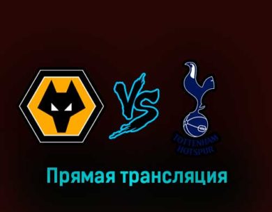 Вулверхэмптон — Тоттенхэм Хотспур 4 марта 2023 года прямая трансляция