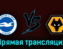Брайтон энд Хоув Альбион — Вулверхэмптон 29 апреля 2023 года прямая трансляция