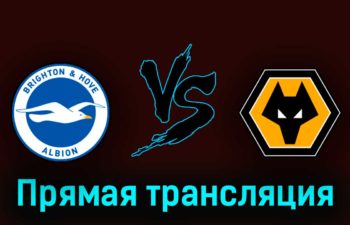 Брайтон энд Хоув Альбион — Вулверхэмптон 29 апреля 2023 года прямая трансляция