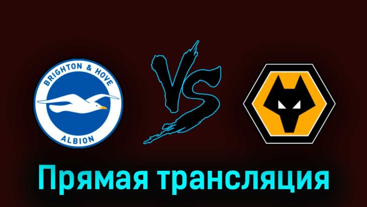 Брайтон энд Хоув Альбион — Вулверхэмптон 29 апреля 2023 года прямая трансляция