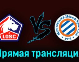 Лилль — Монпелье 16 апреля 2023 года прямая трансляция