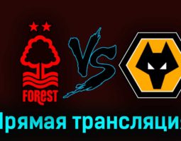 Ноттингем Форест — Вулверхэмптон 1 апреля 2023 года прямая трансляция
