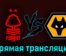 Ноттингем Форест — Вулверхэмптон 1 апреля 2023 года прямая трансляция